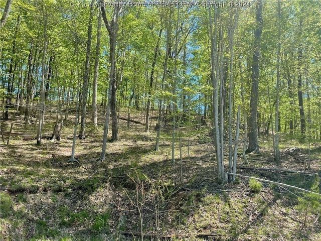 15 Stoney Creek Drive, Ripley, WV 25271