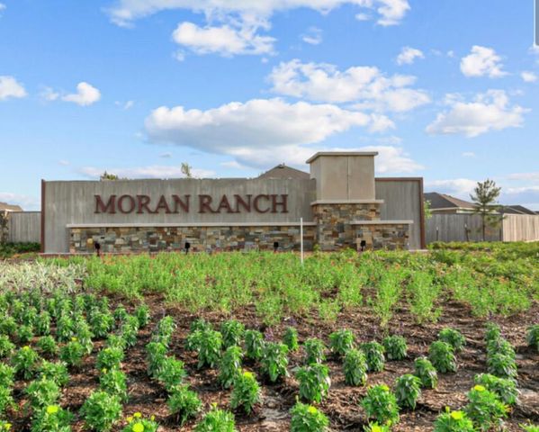 221 Crystal Bay Ln, Willis, TX 77378