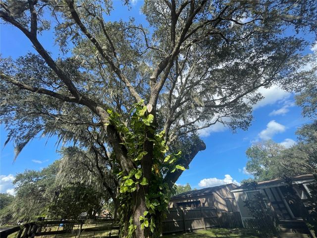 8824 OVERLOOK DR, Wesley Chapel, FL 33545