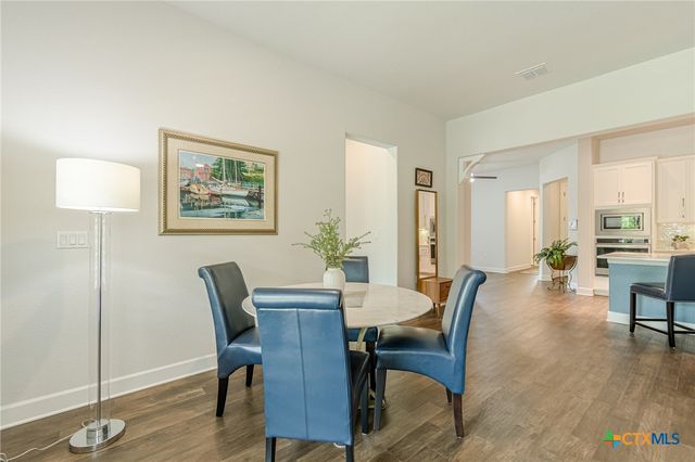 305 Dashing Sycamore Street, San Marcos, TX 78666