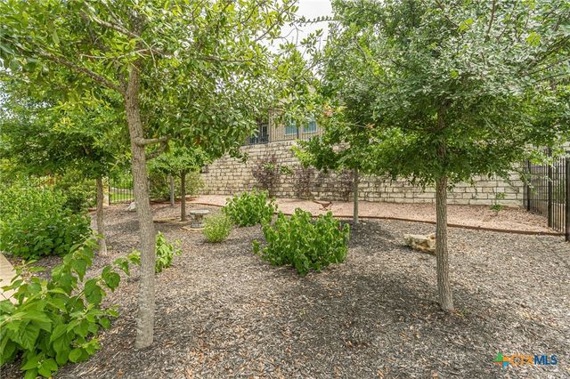 305 Dashing Sycamore Street, San Marcos, TX 78666