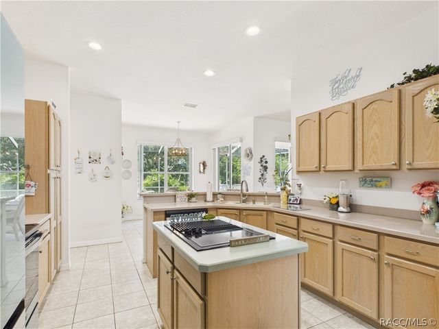 2 Speceberry Court S, Homosassa, FL 34446
