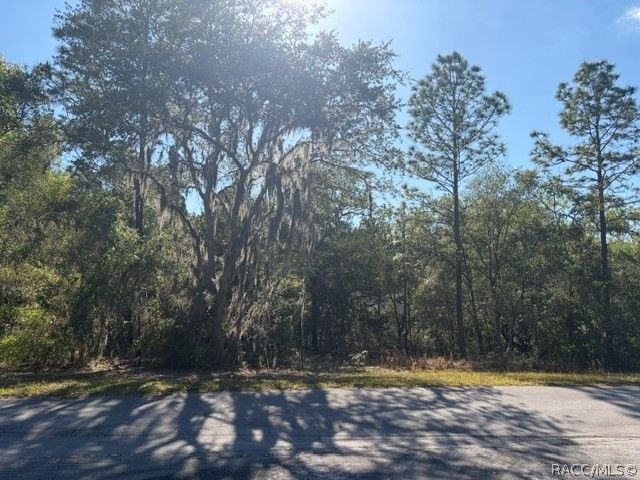6162 W Bovio Court, Dunnellon, FL 34433