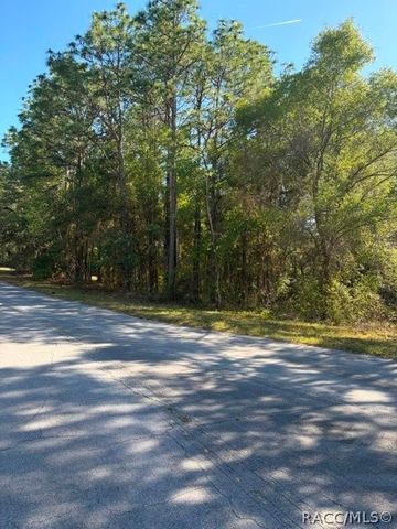 6162 W Bovio Court, Dunnellon, FL 34433