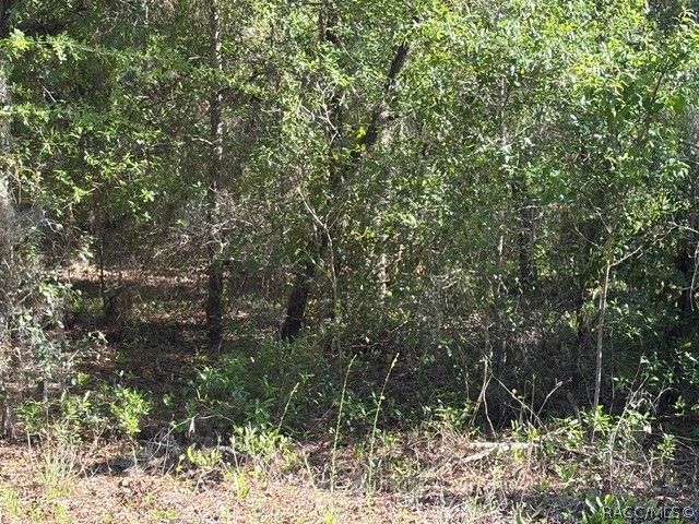 6162 W Bovio Court, Dunnellon, FL 34433