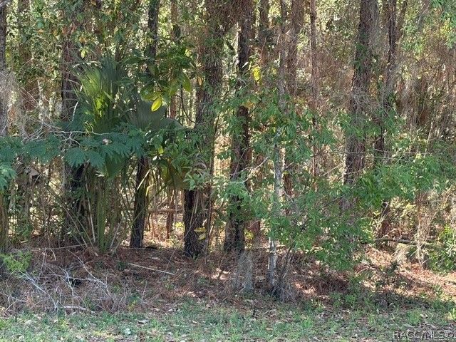 6162 W Bovio Court, Dunnellon, FL 34433