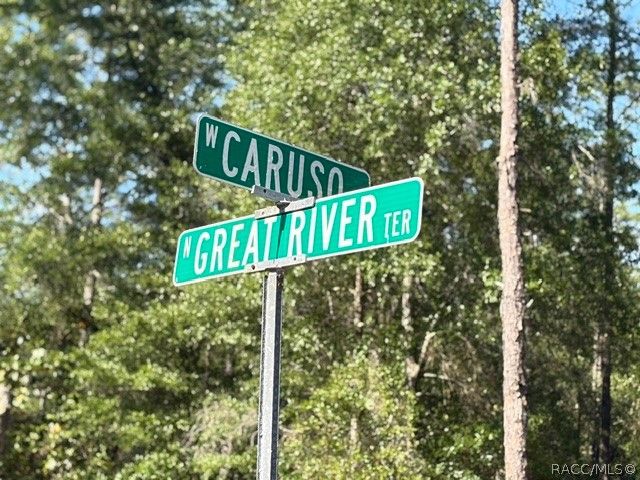 6162 W Bovio Court, Dunnellon, FL 34433