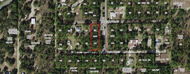 6162 W Bovio Court, Dunnellon, FL 34433