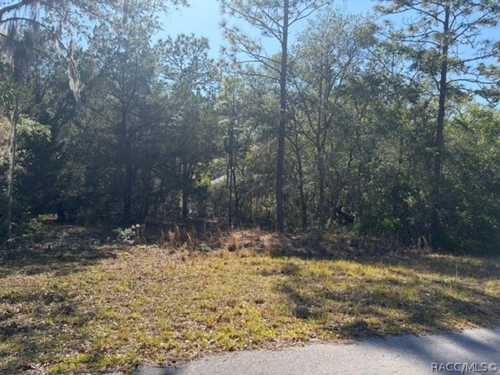 6162 W Bovio Court, Dunnellon, FL 34433
