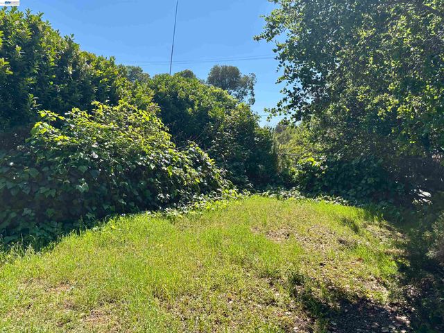 4101 Mountain View Ave, Oakland, CA 94605