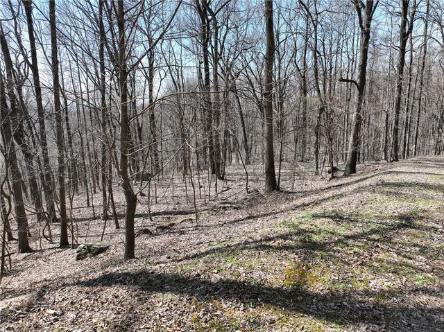 243 Dragon Trail, Ellijay, GA 30536