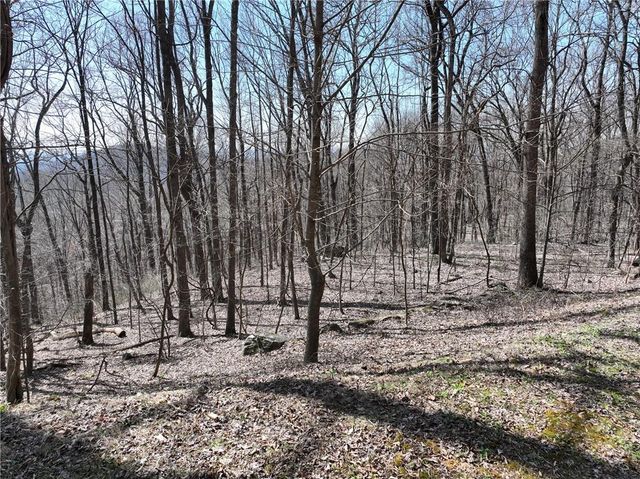 243 Dragon Trail, Ellijay, GA 30536