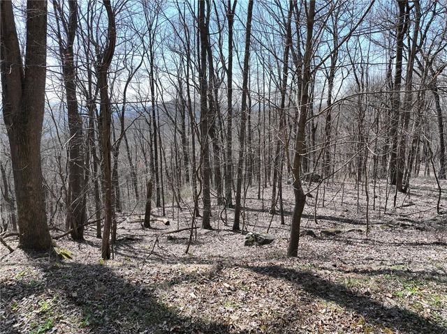 243 Dragon Trail, Ellijay, GA 30536