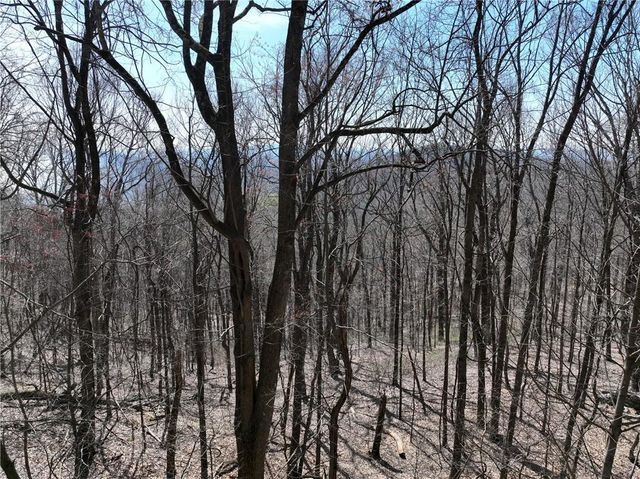 243 Dragon Trail, Ellijay, GA 30536