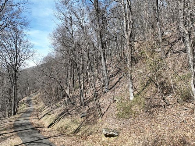 243 Dragon Trail, Ellijay, GA 30536