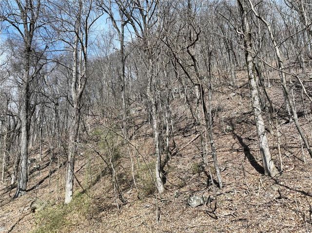 243 Dragon Trail, Ellijay, GA 30536