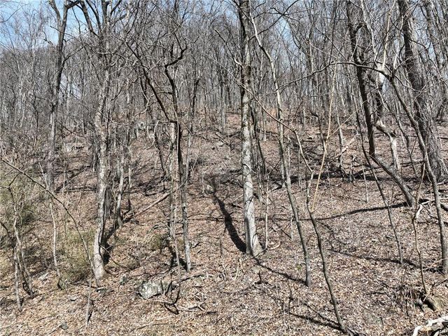 243 Dragon Trail, Ellijay, GA 30536