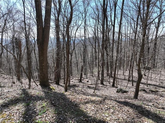 243 Dragon Trail, Ellijay, GA 30536