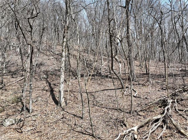 243 Dragon Trail, Ellijay, GA 30536