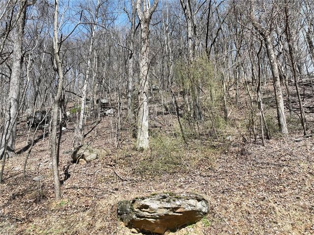 243 Dragon Trail, Ellijay, GA 30536