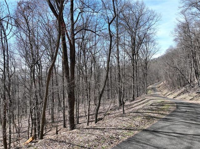 243 Dragon Trail, Ellijay, GA 30536