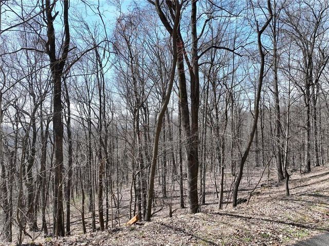 243 Dragon Trail, Ellijay, GA 30536