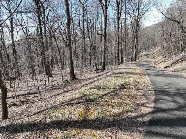 243 Dragon Trail, Ellijay, GA 30536