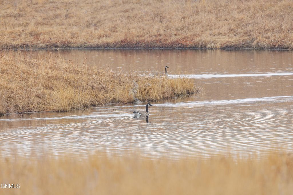 1402 57th Avenue SW, Beulah, ND 58523 photo 114