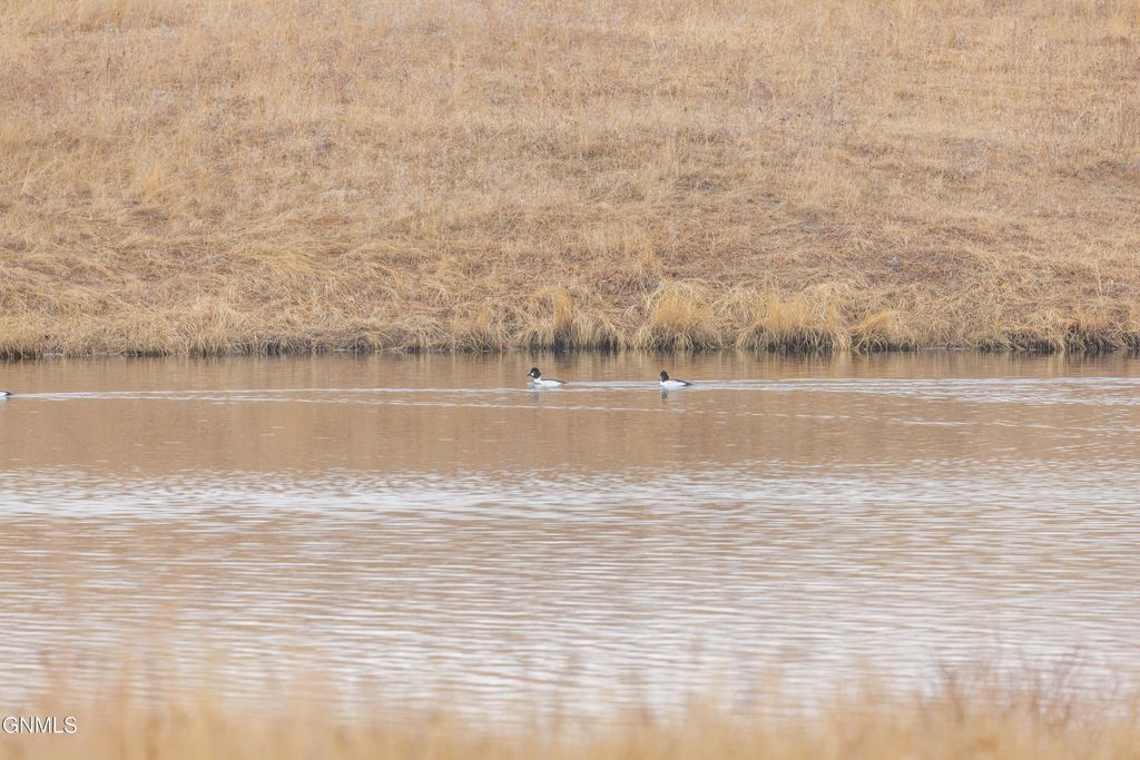 1402 57th Avenue SW, Beulah, ND 58523 photo 115