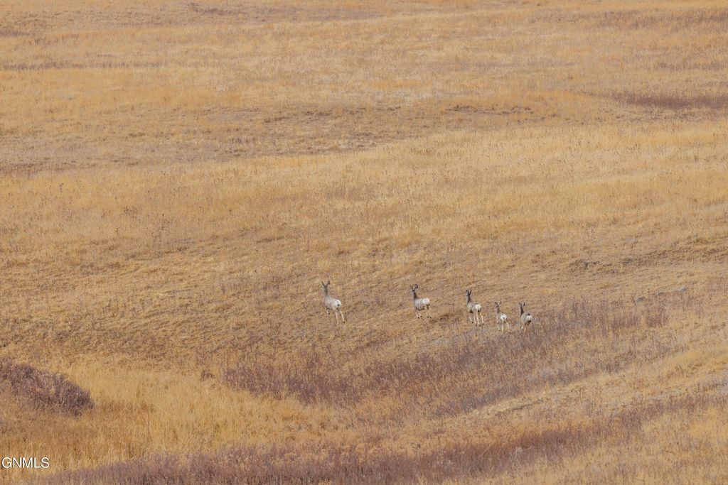 1402 57th Avenue SW, Beulah, ND 58523 photo 126