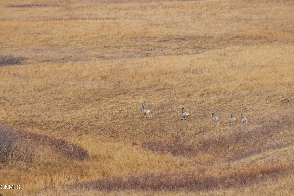 1402 57th Avenue SW, Beulah, ND 58523 photo 127
