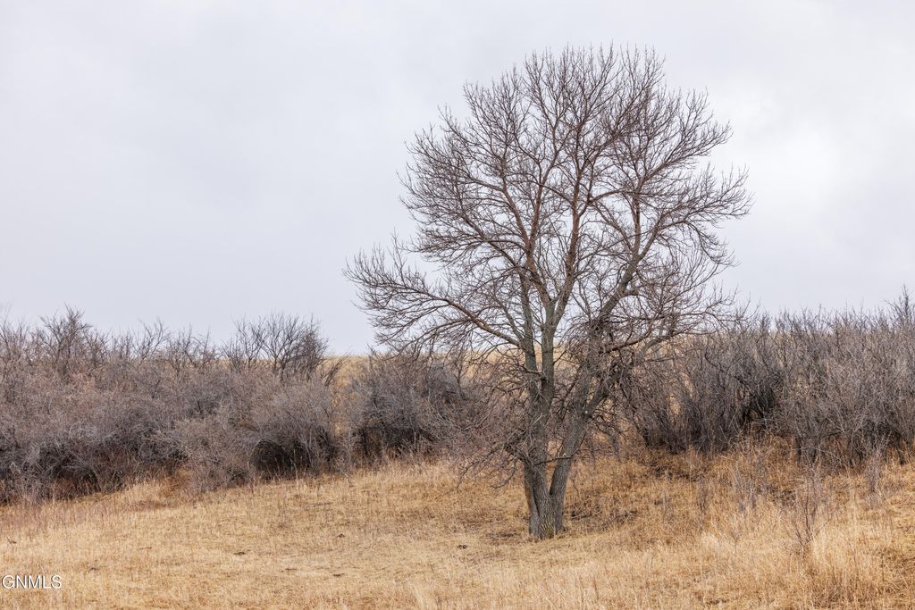 1402 57th Avenue SW, Beulah, ND 58523 photo 28