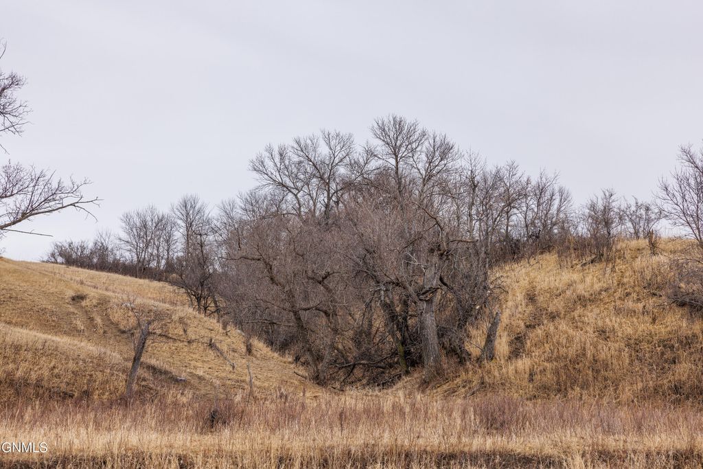 1402 57th Avenue SW, Beulah, ND 58523 photo 39