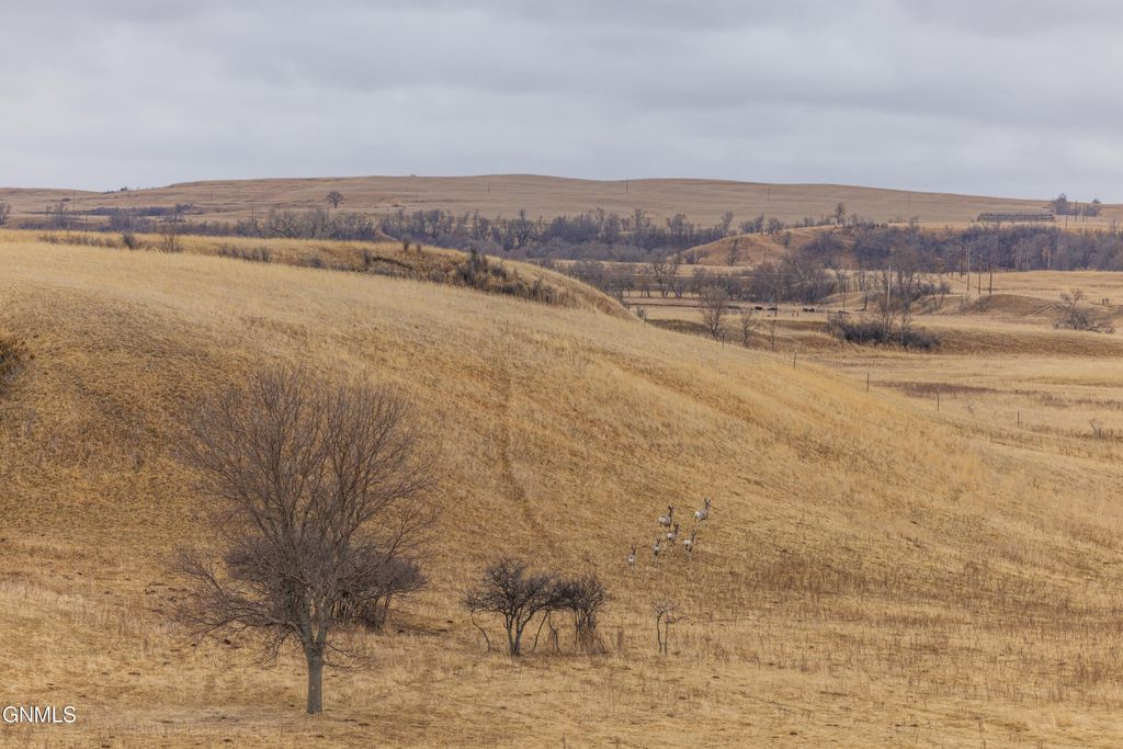 1402 57th Avenue SW, Beulah, ND 58523 photo 52