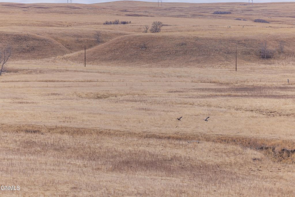 1402 57th Avenue SW, Beulah, ND 58523 photo 60