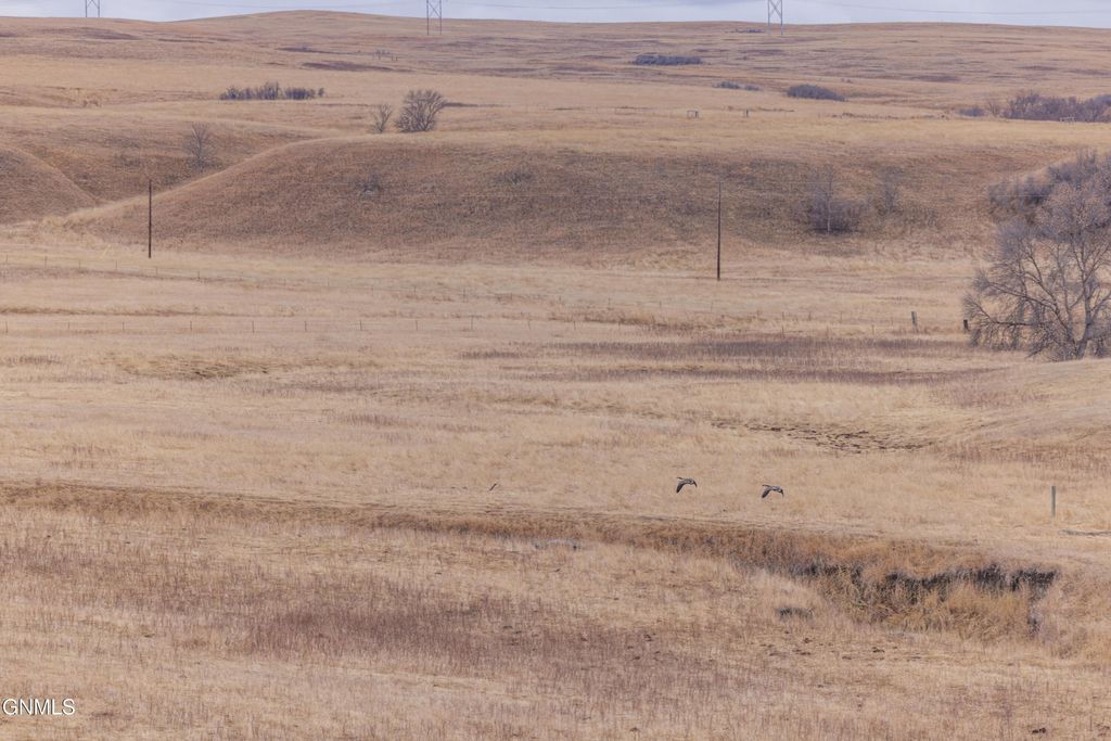 1402 57th Avenue SW, Beulah, ND 58523 photo 66