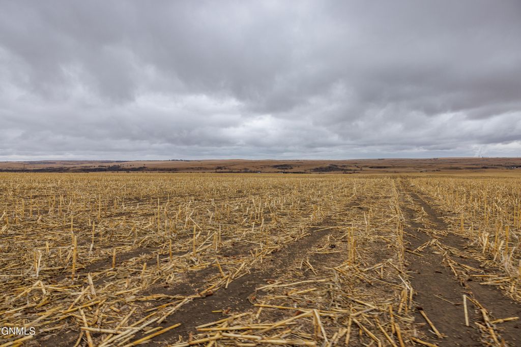 1402 57th Avenue SW, Beulah, ND 58523 photo 90