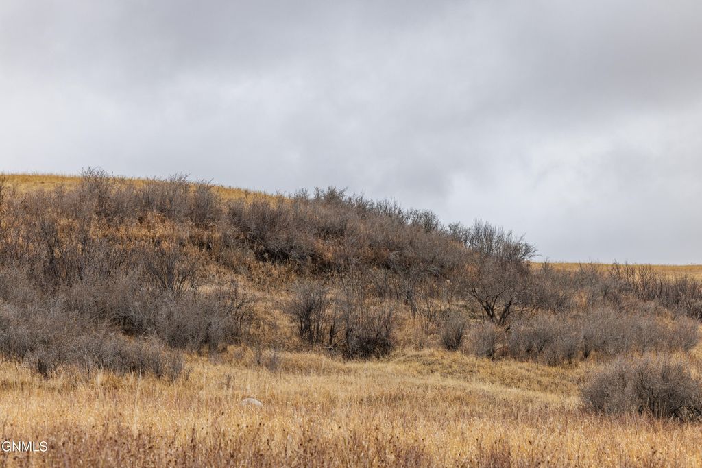 1402 57th Avenue SW, Beulah, ND 58523 photo 96