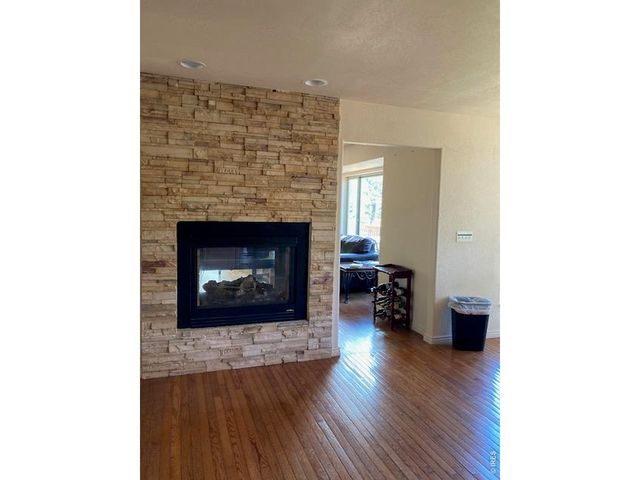 283 Alpine Dr, Nederland, CO 80466