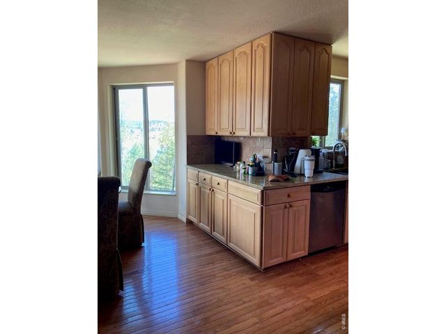 283 Alpine Dr, Nederland, CO 80466