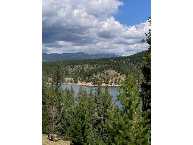 283 Alpine Dr, Nederland, CO 80466