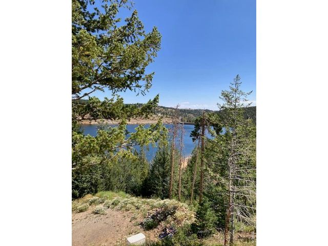 283 Alpine Dr, Nederland, CO 80466