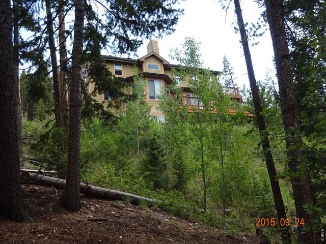 283 Alpine Dr, Nederland, CO 80466