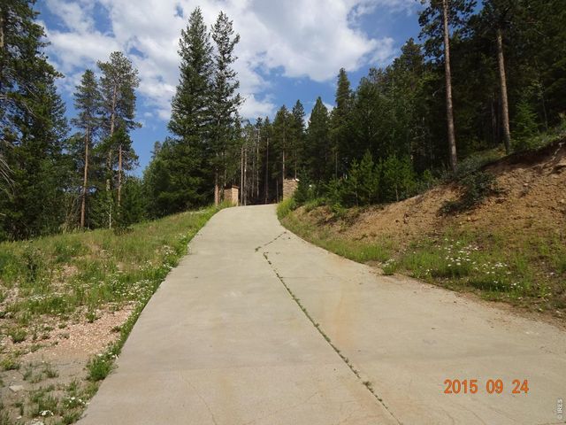 283 Alpine Dr, Nederland, CO 80466