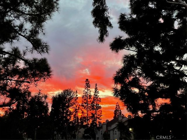 5 Columbus, Laguna Niguel, CA 92677
