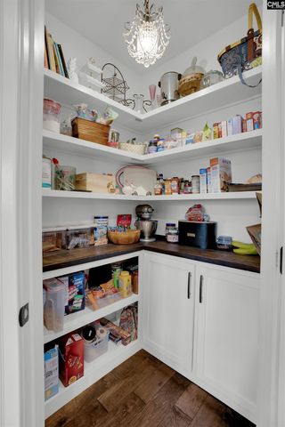 812 Village Well Court, Chapin, SC 29036