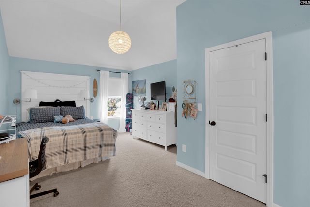 812 Village Well Court, Chapin, SC 29036