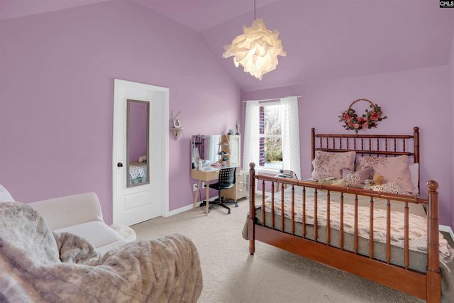 812 Village Well Court, Chapin, SC 29036