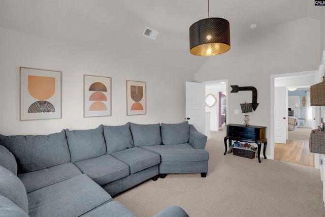 812 Village Well Court, Chapin, SC 29036