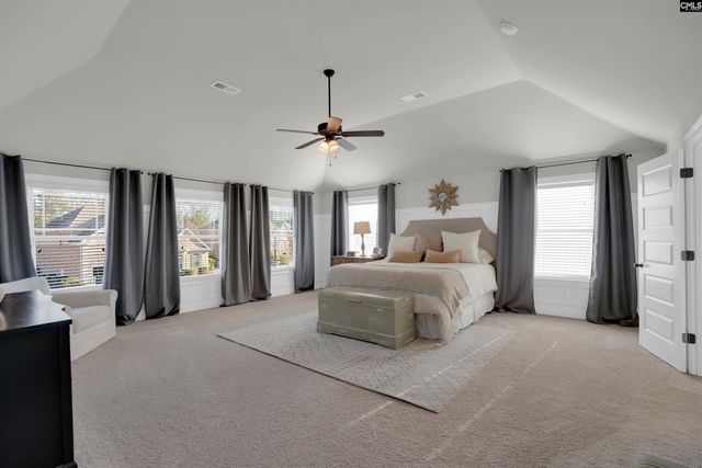 812 Village Well Court, Chapin, SC 29036